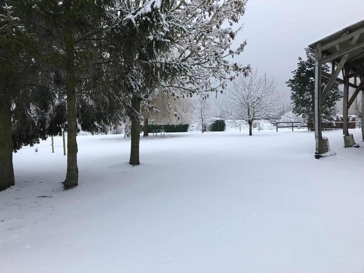 Ferme De La Forterie Verlinghem Экстерьер фото