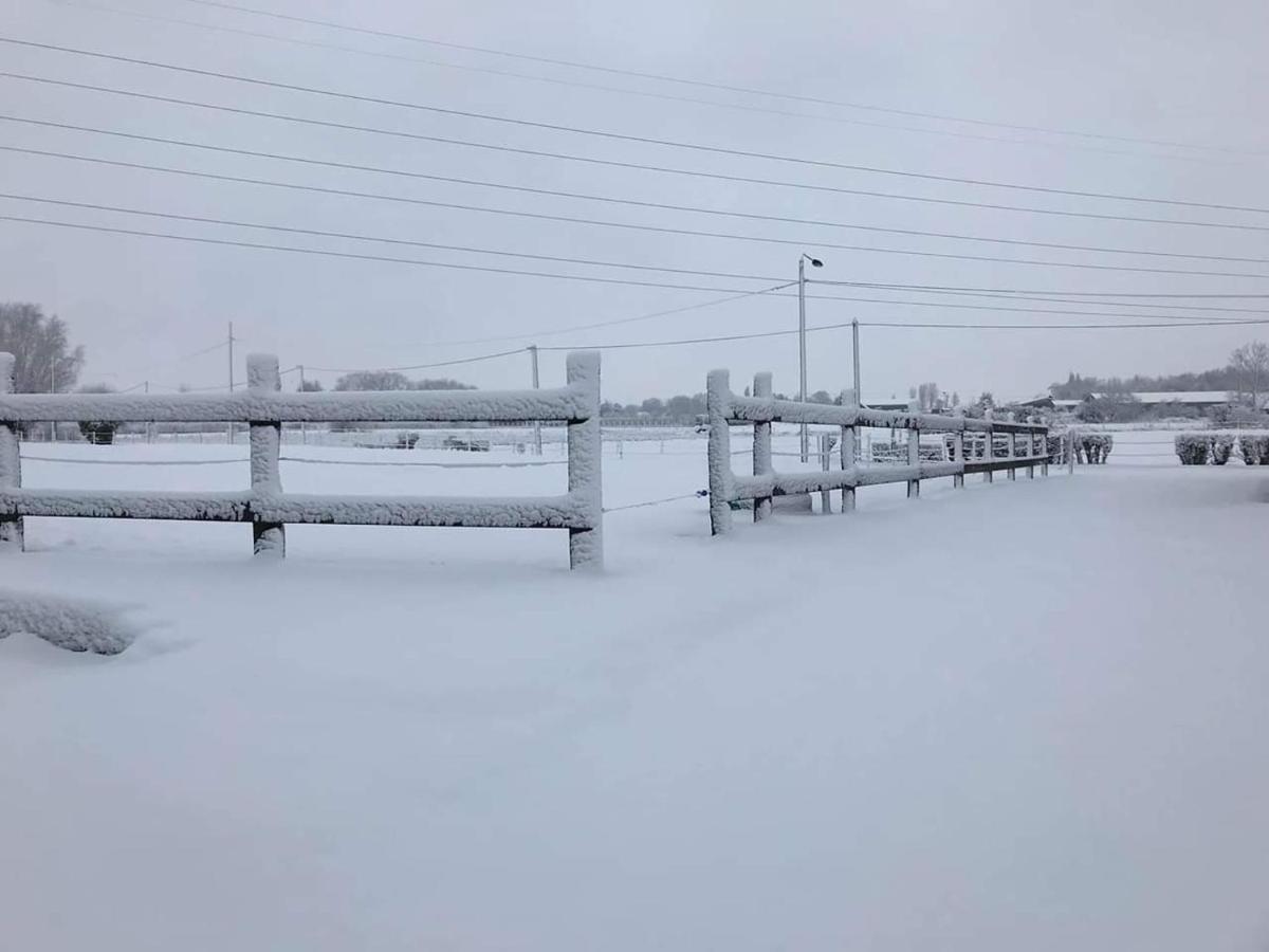 Ferme De La Forterie Verlinghem Экстерьер фото
